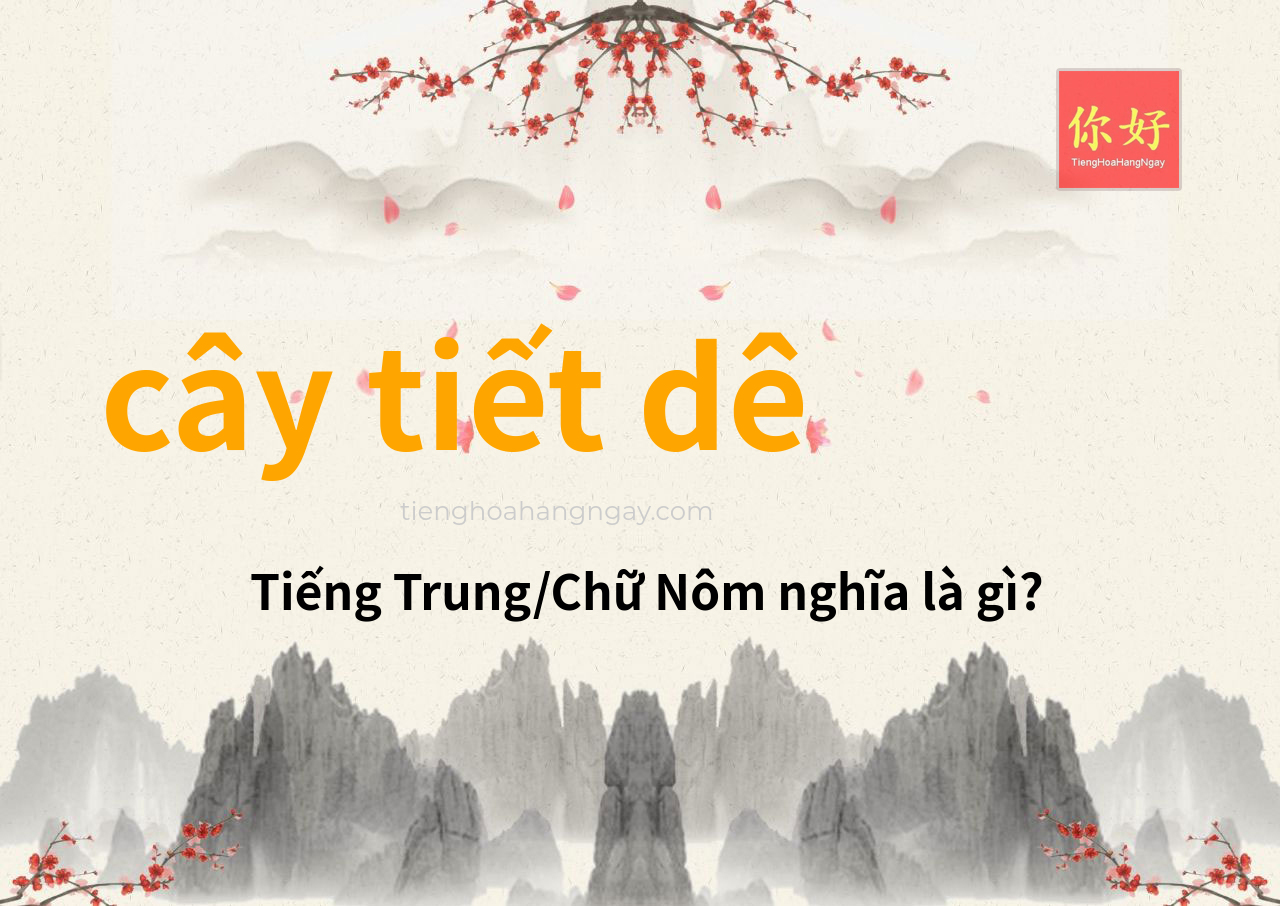 cây tiết dê tiếng Trung là gì?